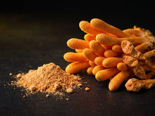 Cordyceps