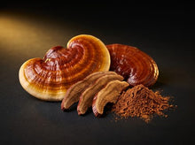 Reishi