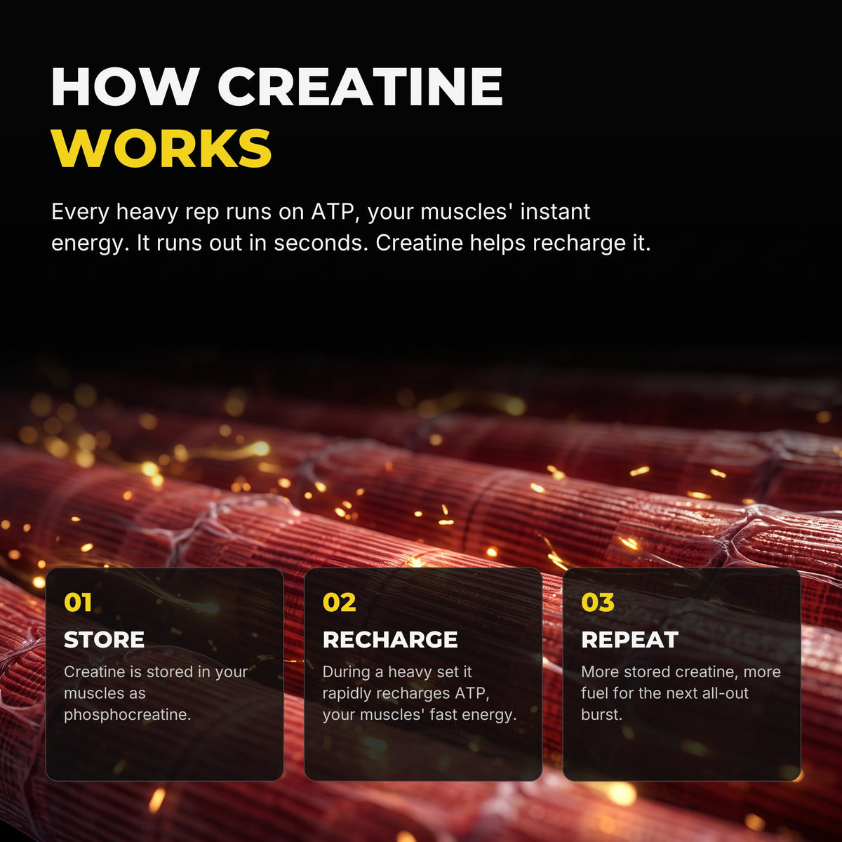 How creatine works