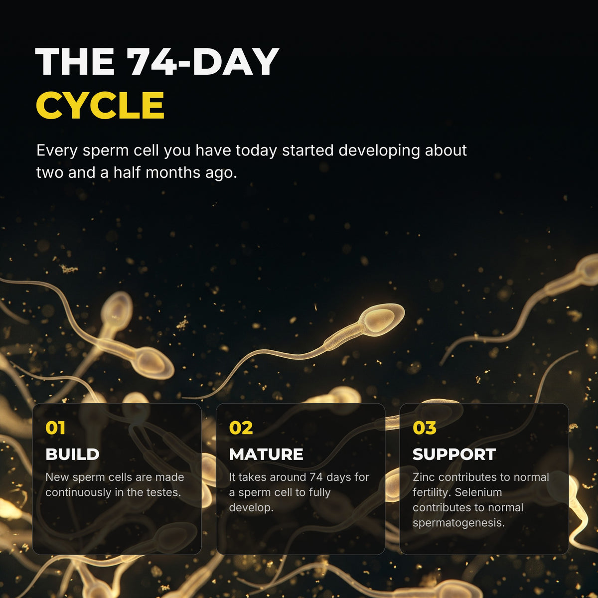 The 74-day cycle