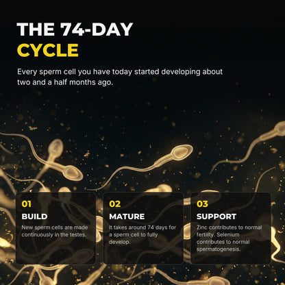 The 74-day cycle