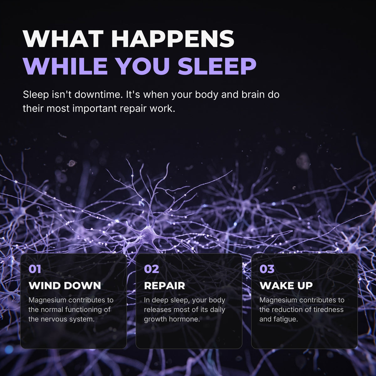 What happens while you sleep