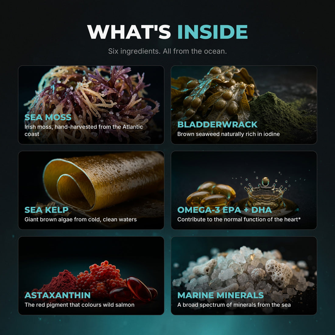 Ingredients