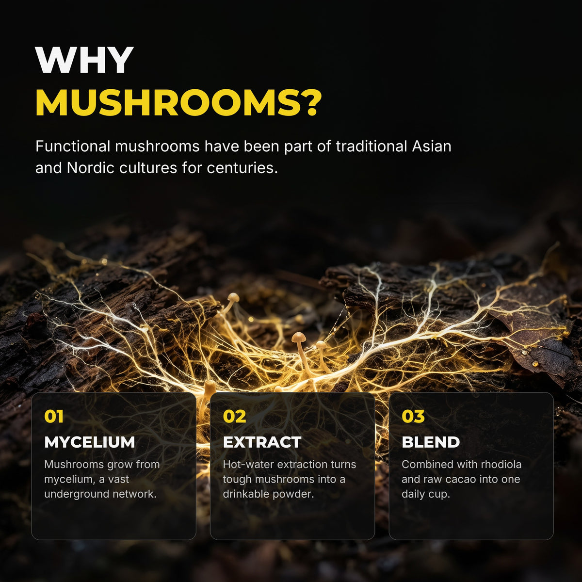 Why mushrooms