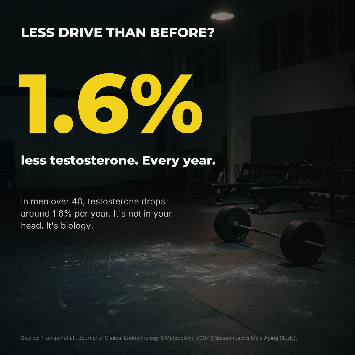 Testosterone drops 1.6% per year