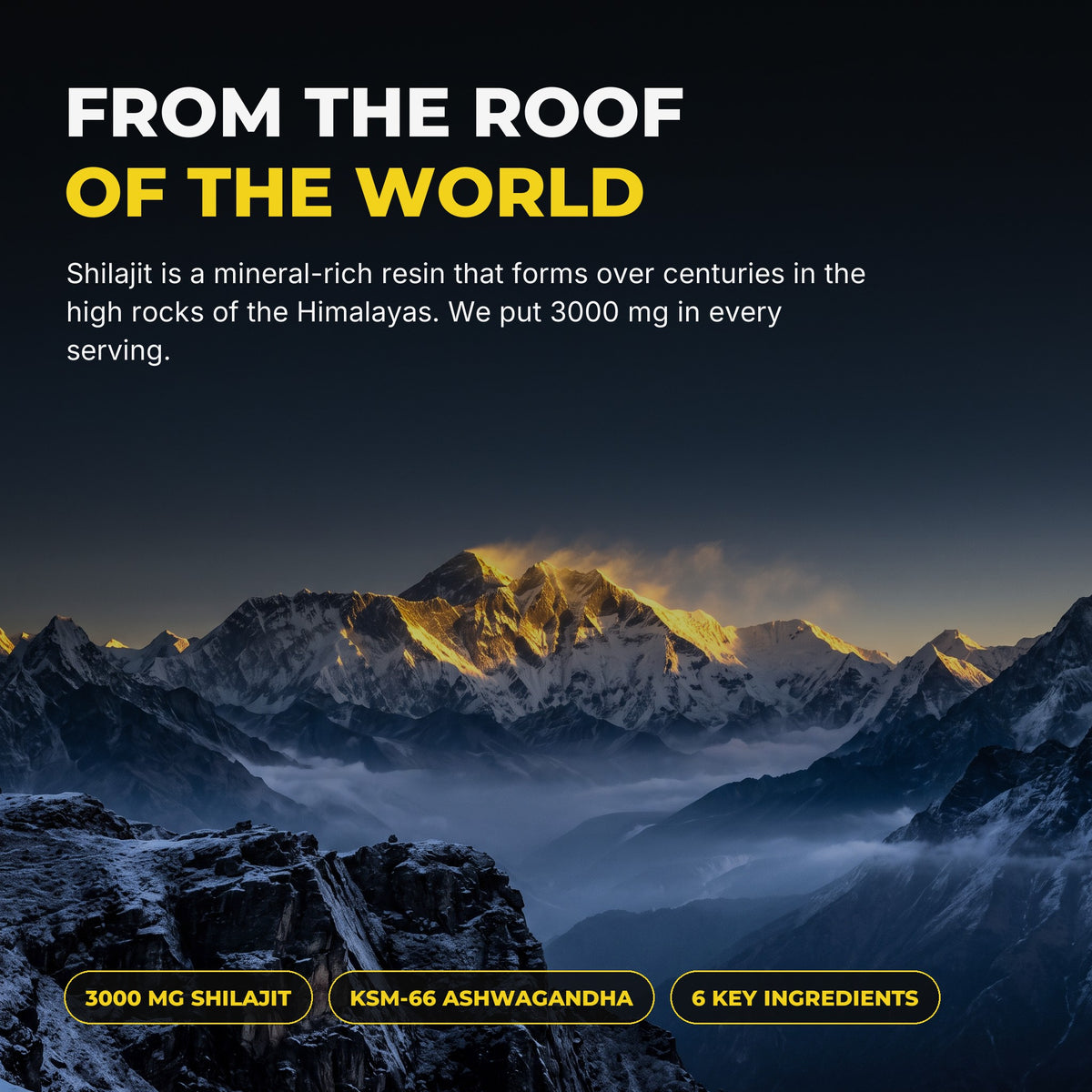 Shilajit from the Himalayas