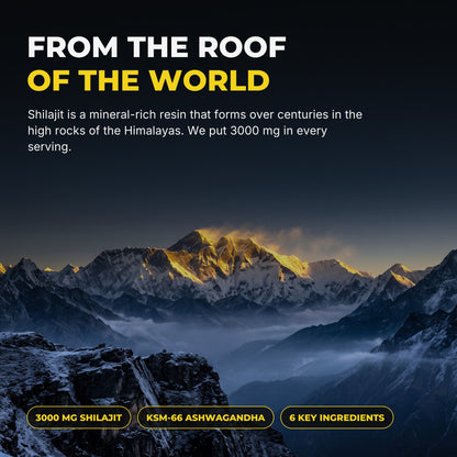 Shilajit from the Himalayas