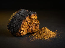 Chaga